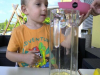 limonin-sok