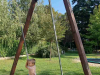 igrisce2