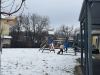image_50419457